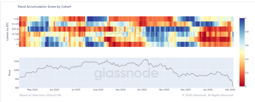 Bitcoin massively oversold as whales are buying, here are the key levels - glassnode accumulation trend score 1024x410