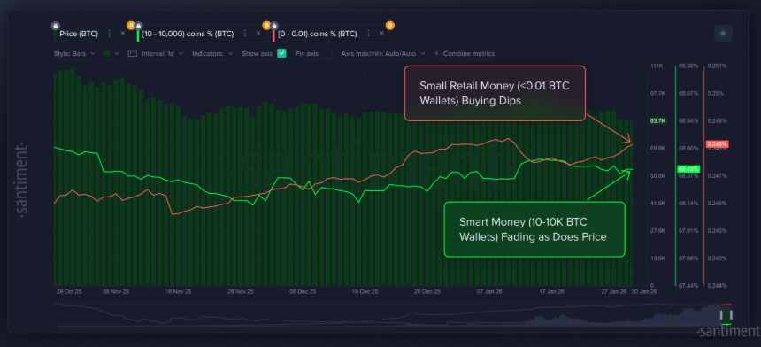 Bitcoin stabilises after sharp sell-off, but bearish risks persist - retail whales