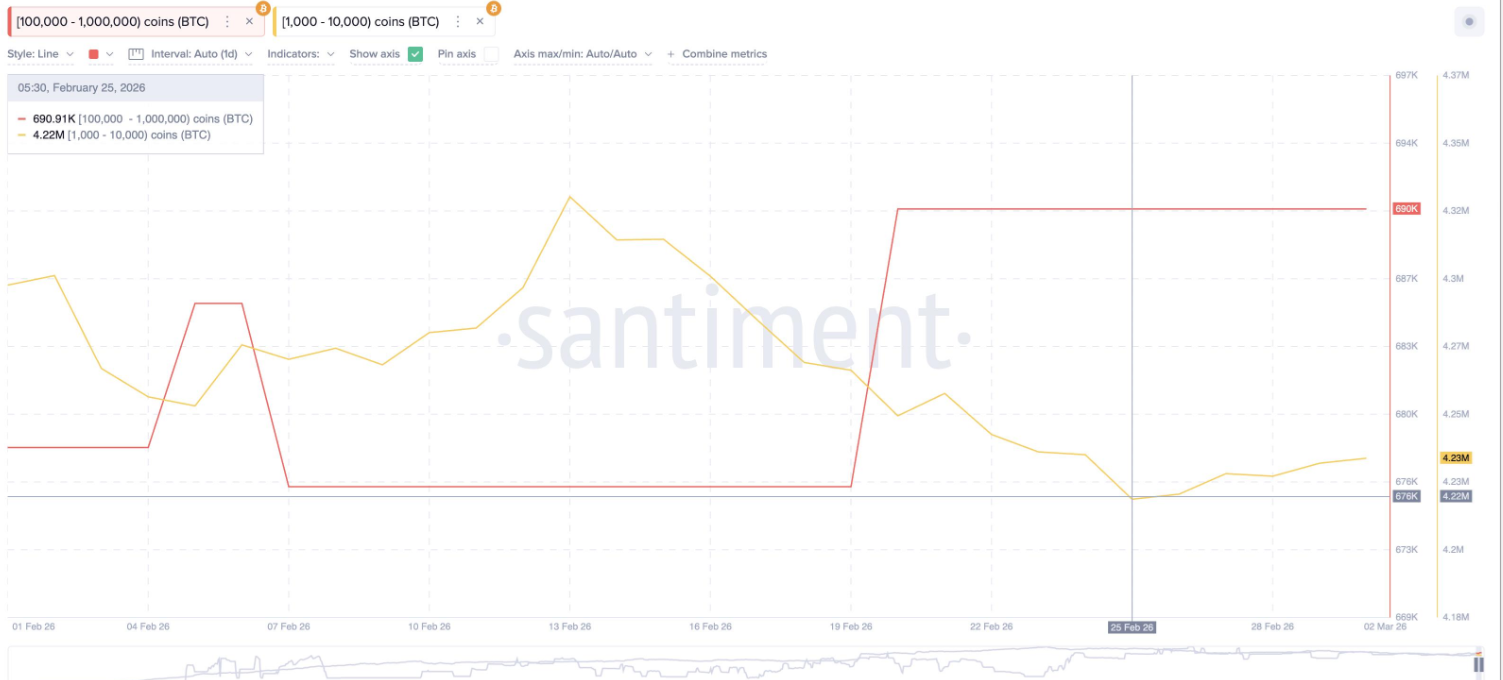 Bitcoin holds 66k as oil&rsquo;s jump amid US-Iran war clouds the outlook - wahles