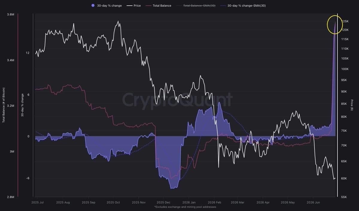 Whales Load 270K BTC While Institutions Bleed a Record ETF Outflow Whales Load 270K BTC While Institutions Bleed a Record ETF Outflow - 7