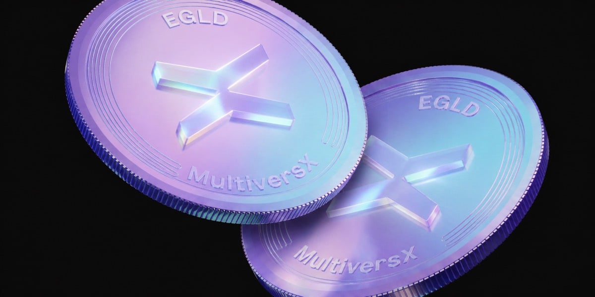 MultiversX (EGLD) Price Prediction: Can EGLD Recover by 2030? - MultiversX